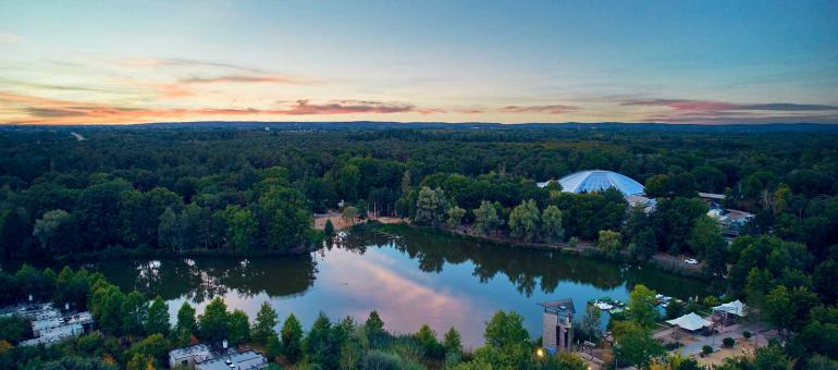 Het voordeel van natuur