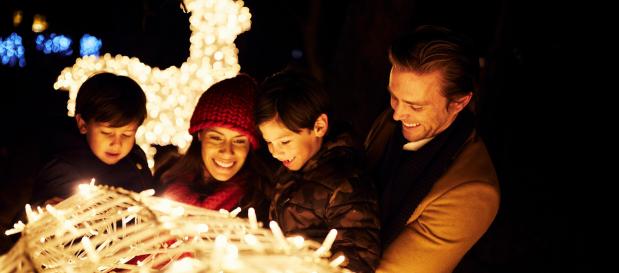 winter wonderland deco