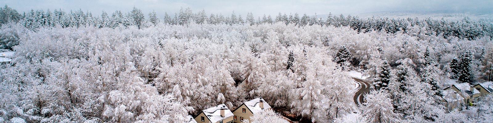 Les Ardennes