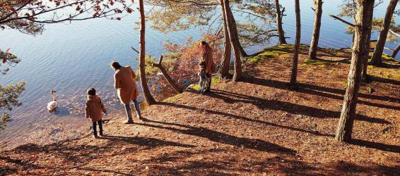 Nature at Center Parcs