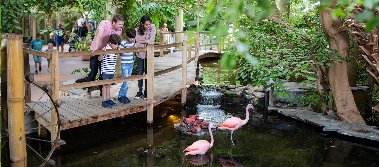 Center Parcs Ferienparks für Familienurlaub in der Natur