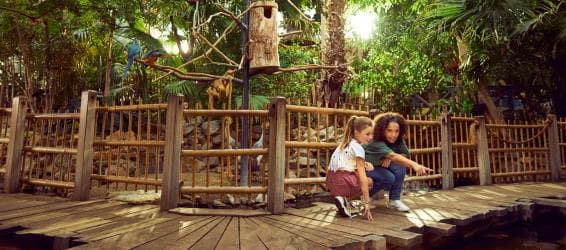 Market Dome: subtropisch centrum, waar je kunt eten, drinken en shoppen
