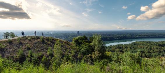 Geniet van de rijke natuur in en om onze parken, in de mooiste regio’s dichtbij