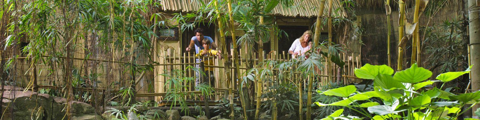 Jungle Cabana