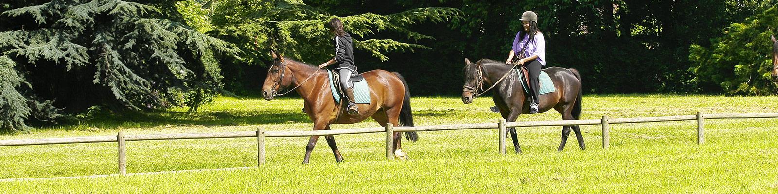 Vacances Equitation Et Balades A Cheval Center Parcs