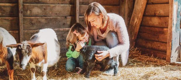 ferme