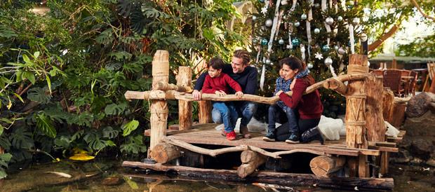 Les animations pendant les vacances d'hiver