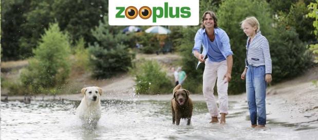 Vakantie met je hond