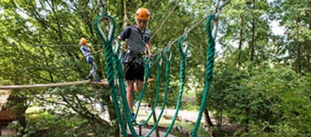 activiteiten