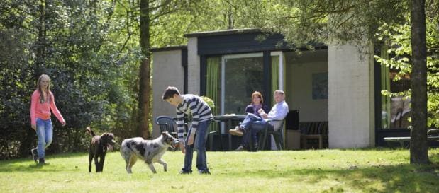 Cottage service pets